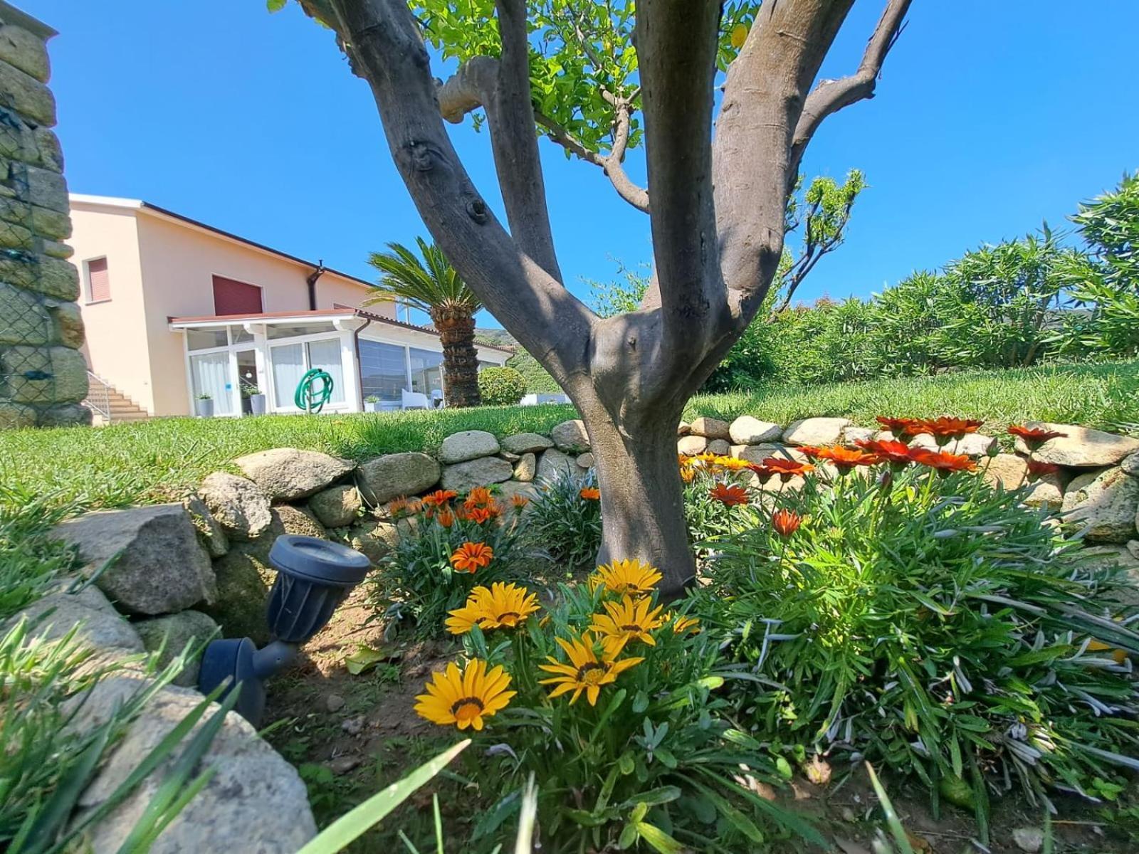 B&B Capo Al Piano Marciana Marina  Exterior foto