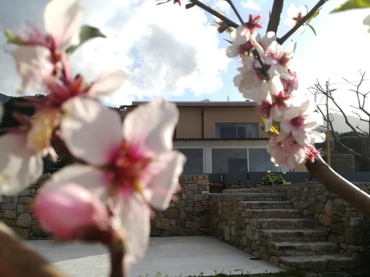 B&B Capo Al Piano Marciana Marina  Exterior foto